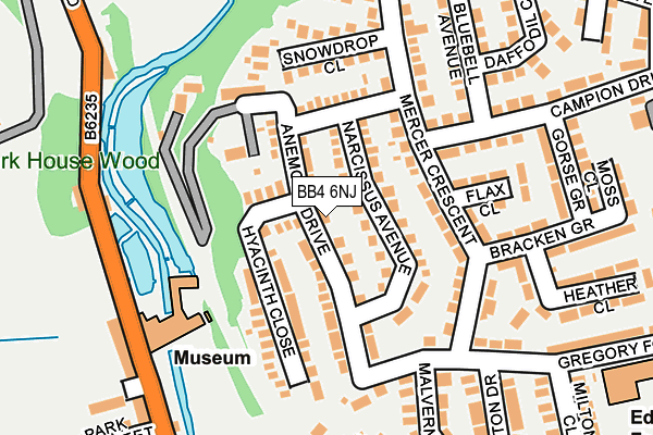 BB4 6NJ map - OS OpenMap – Local (Ordnance Survey)