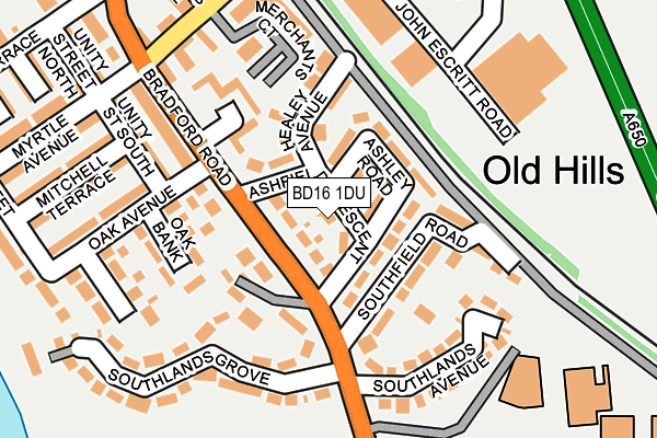 BD16 1DU map - OS OpenMap – Local (Ordnance Survey)