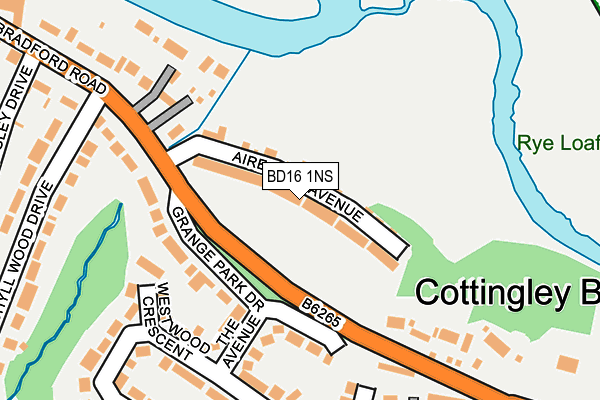 BD16 1NS map - OS OpenMap – Local (Ordnance Survey)