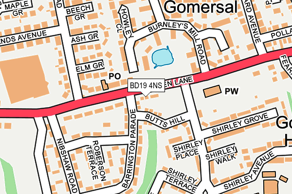 BD19 4NS map - OS OpenMap – Local (Ordnance Survey)