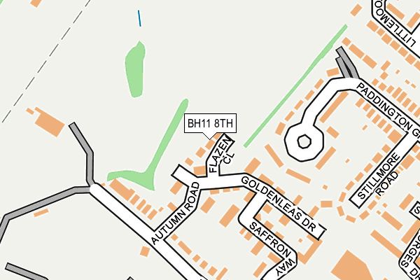 BH11 8TH map - OS OpenMap – Local (Ordnance Survey)