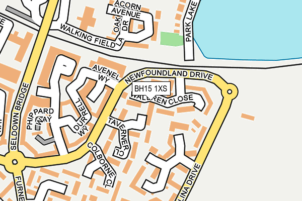 BH15 1XS map - OS OpenMap – Local (Ordnance Survey)