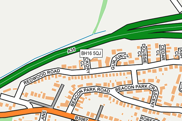 BH16 5QJ map - OS OpenMap – Local (Ordnance Survey)