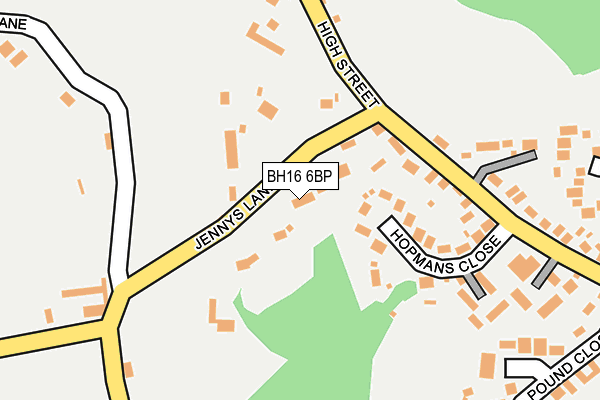 BH16 6BP map - OS OpenMap – Local (Ordnance Survey)