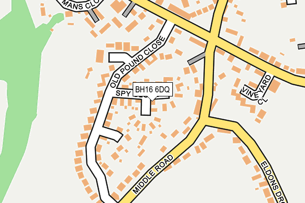 BH16 6DQ map - OS OpenMap – Local (Ordnance Survey)