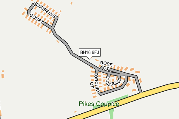 BH16 6FJ map - OS OpenMap – Local (Ordnance Survey)