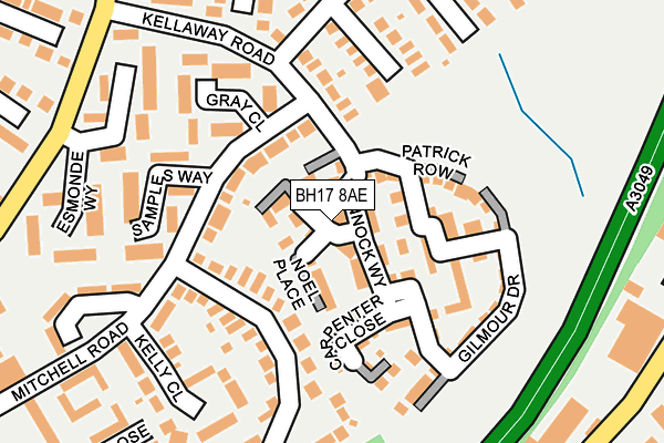 BH17 8AE map - OS OpenMap – Local (Ordnance Survey)