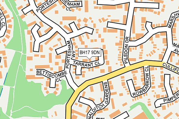 BH17 9DN map - OS OpenMap – Local (Ordnance Survey)