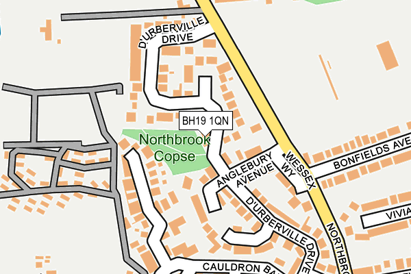 BH19 1QN map - OS OpenMap – Local (Ordnance Survey)