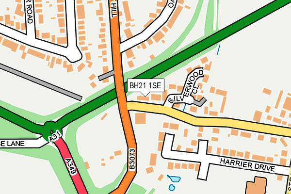 BH21 1SE map - OS OpenMap – Local (Ordnance Survey)