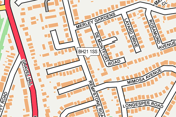 BH21 1SS map - OS OpenMap – Local (Ordnance Survey)