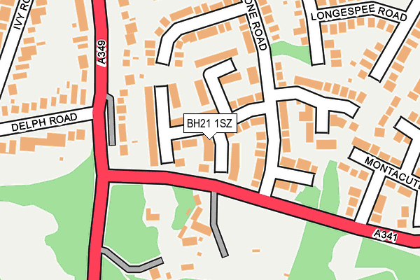 BH21 1SZ map - OS OpenMap – Local (Ordnance Survey)