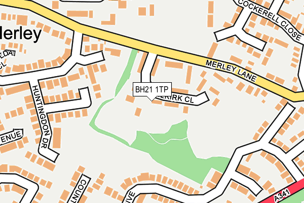 BH21 1TP map - OS OpenMap – Local (Ordnance Survey)