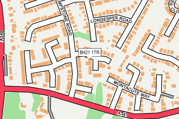 BH21 1TR map - OS OpenMap – Local (Ordnance Survey)