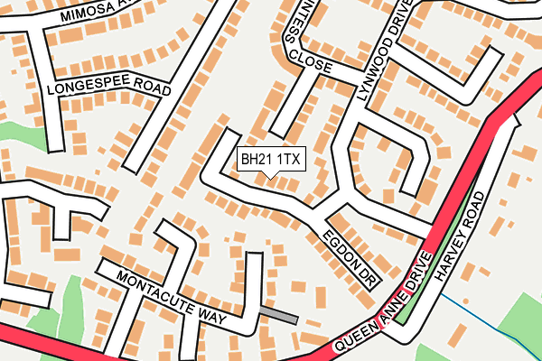 BH21 1TX map - OS OpenMap – Local (Ordnance Survey)