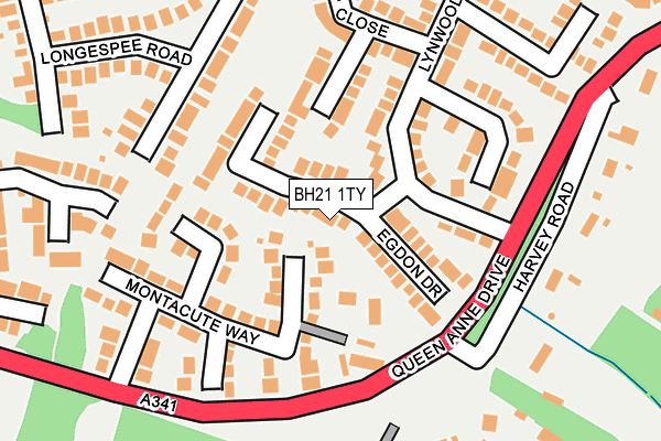 BH21 1TY map - OS OpenMap – Local (Ordnance Survey)