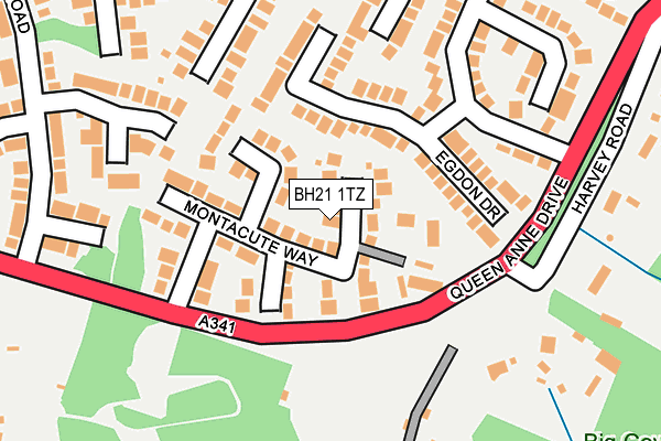 BH21 1TZ map - OS OpenMap – Local (Ordnance Survey)