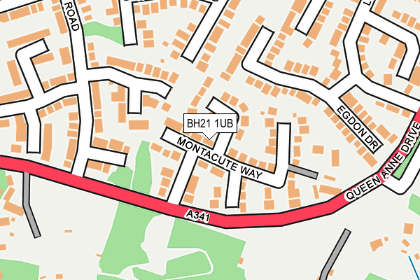 BH21 1UB map - OS OpenMap – Local (Ordnance Survey)
