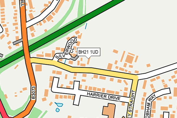 BH21 1UD map - OS OpenMap – Local (Ordnance Survey)