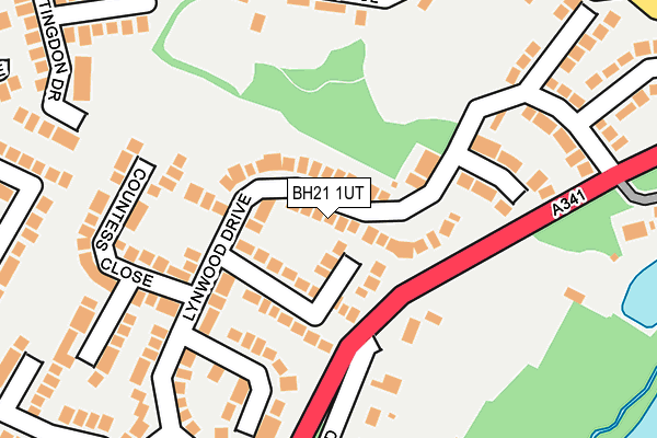 BH21 1UT map - OS OpenMap – Local (Ordnance Survey)