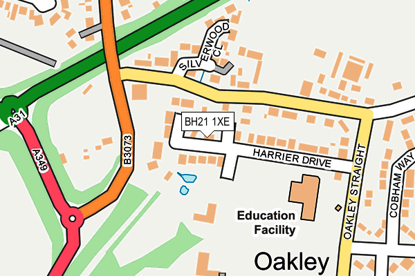BH21 1XE map - OS OpenMap – Local (Ordnance Survey)