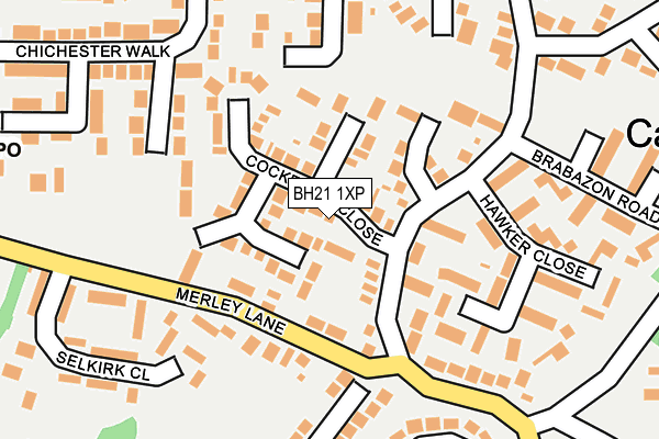 BH21 1XP map - OS OpenMap – Local (Ordnance Survey)