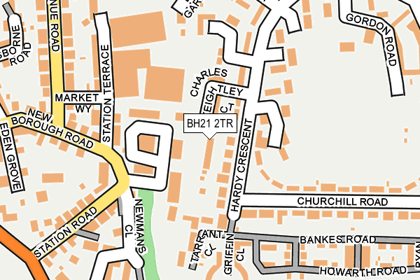 BH21 2TR map - OS OpenMap – Local (Ordnance Survey)