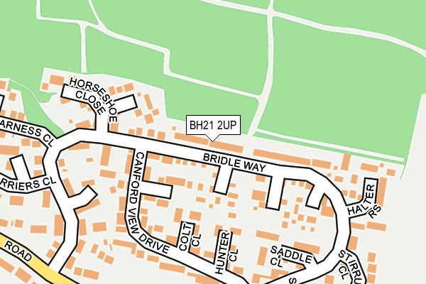 BH21 2UP map - OS OpenMap – Local (Ordnance Survey)
