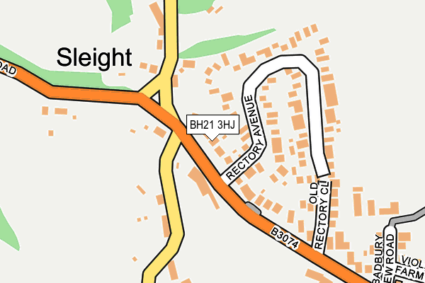 BH21 3HJ map - OS OpenMap – Local (Ordnance Survey)