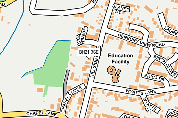 BH21 3SE map - OS OpenMap – Local (Ordnance Survey)