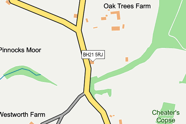 BH21 5RJ map - OS OpenMap – Local (Ordnance Survey)