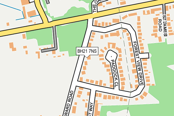 BH21 7NS map - OS OpenMap – Local (Ordnance Survey)