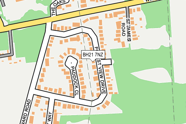 BH21 7NZ map - OS OpenMap – Local (Ordnance Survey)