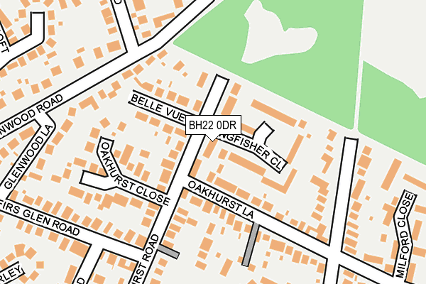 BH22 0DR map - OS OpenMap – Local (Ordnance Survey)