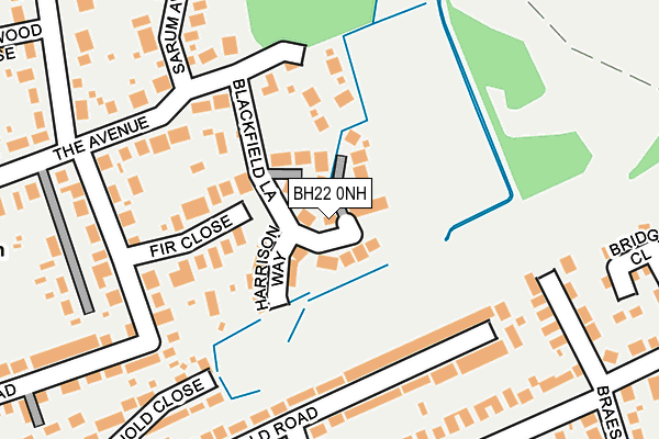 BH22 0NH map - OS OpenMap – Local (Ordnance Survey)