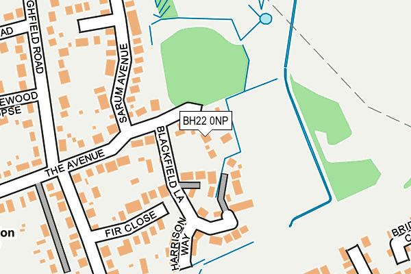 BH22 0NP map - OS OpenMap – Local (Ordnance Survey)