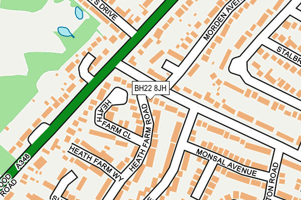 BH22 8JH map - OS OpenMap – Local (Ordnance Survey)