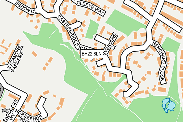 BH22 8LN map - OS OpenMap – Local (Ordnance Survey)