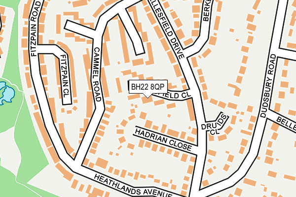 BH22 8QP map - OS OpenMap – Local (Ordnance Survey)