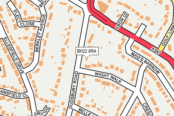 BH22 8RA map - OS OpenMap – Local (Ordnance Survey)