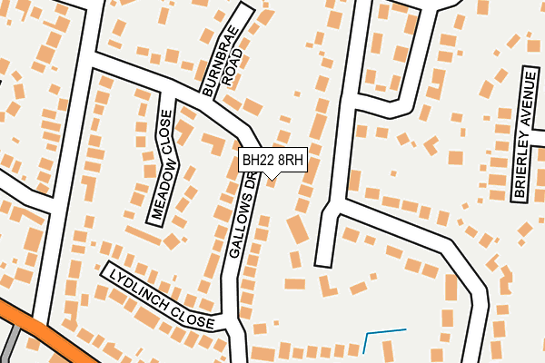 BH22 8RH map - OS OpenMap – Local (Ordnance Survey)