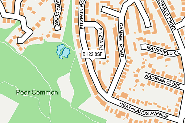 BH22 8SF map - OS OpenMap – Local (Ordnance Survey)