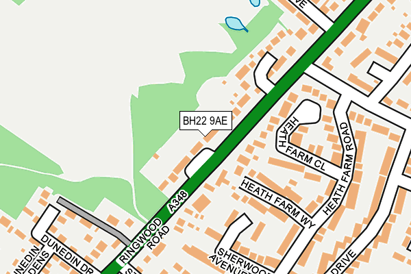 BH22 9AE map - OS OpenMap – Local (Ordnance Survey)