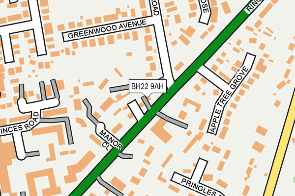 BH22 9AH map - OS OpenMap – Local (Ordnance Survey)
