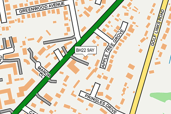 BH22 9AY map - OS OpenMap – Local (Ordnance Survey)