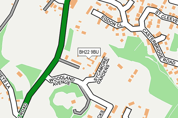 BH22 9BU map - OS OpenMap – Local (Ordnance Survey)