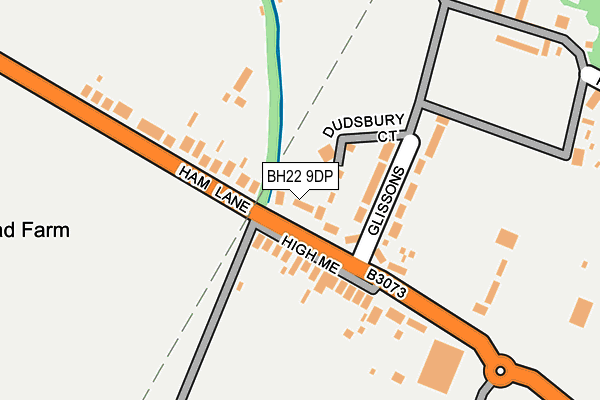 BH22 9DP map - OS OpenMap – Local (Ordnance Survey)