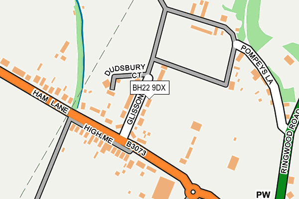 BH22 9DX map - OS OpenMap – Local (Ordnance Survey)