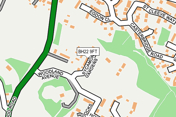 BH22 9FT map - OS OpenMap – Local (Ordnance Survey)