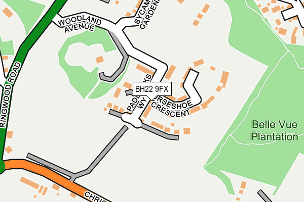 BH22 9FX map - OS OpenMap – Local (Ordnance Survey)